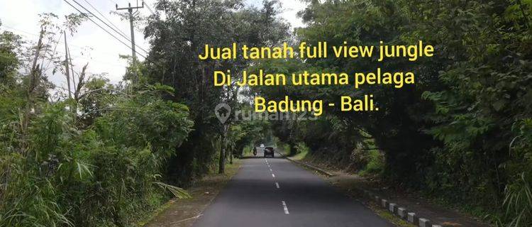 Dijual Tanah 15 Are Jalan Utama Pelaga Badung 1