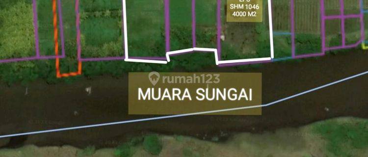 Dijual Tanah 142 Are Los Sungai Pantai Delodberawah Jembrana 1