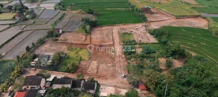 Dijual Tanah 5 Hektar Bona Blahbatuh Gianyar 1