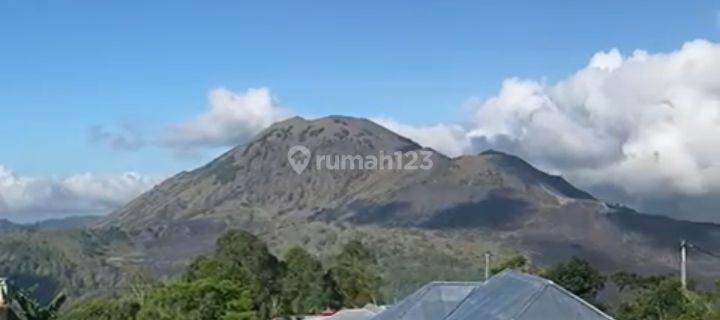 Dijual Tanah 15 Are View Gunung Dan Danau Kintamani 1