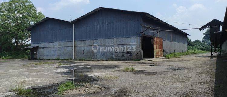 Unit Langka!! Disewakan Gudang Di Parung Panjang Bogor 1