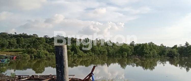 TANAH TEPI JALAN DAN AKSES SUNGAI COCOK DIBANGUN GUDANG & DERMAGA 1