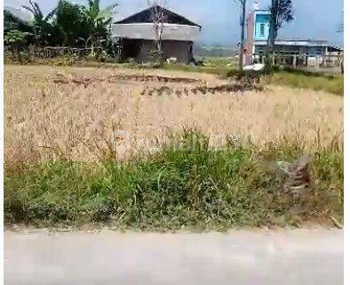 Tanah Kampung Bojong Desa Jatisari Kec. Karang Pawitan Garut 1