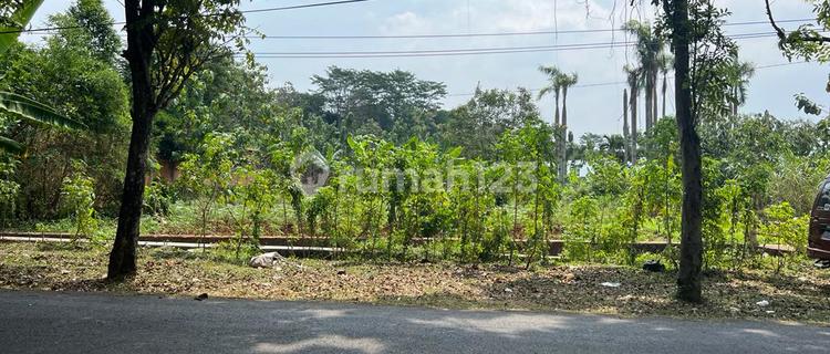 Land for Sale in Sadeng, Gunung Pati 1