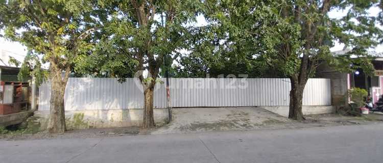 Tanah Syuhada Raya Tlogosari 1