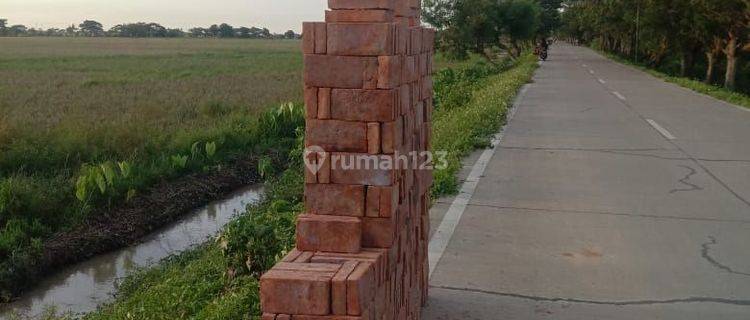 Tanah sawah murah lokasi strategis di kota serang banten 1