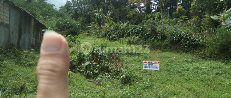 TANAH MURAH DI TAMAN SARI CIAPUS DEKET AMA SEKOLAH NURUL FIKRI 1