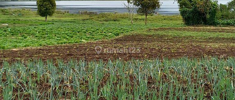 TANAH MURAH DI SULAWESI UTARA MODOINDING SINISIR DENGAN VIEW CANTIK 1