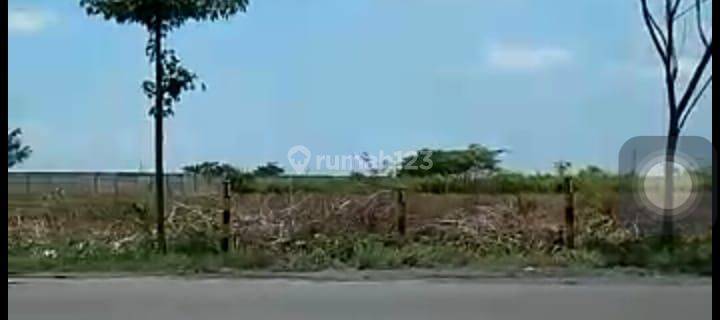 Dijual Super Murah Tanah Plot Industri Raya Kota Tuban Kec Widang 1