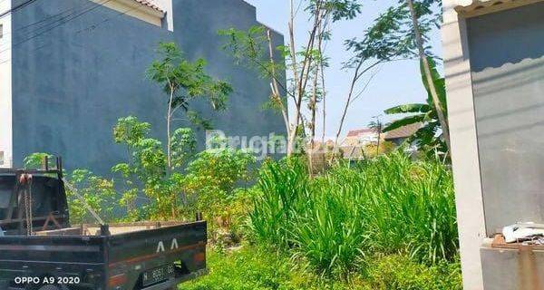 SIGURAGURA LAHAN KOST 176 M2 1