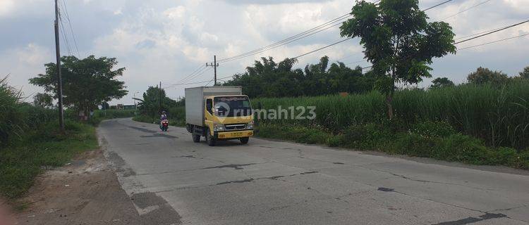 Mojokerto Luas 8.369 M2 Poros Jalan Di Kecamatan Puri. Mojokerto 1