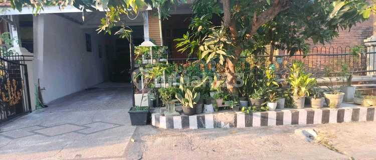 Dijual Rumah Rungkut Asri Timur Surabaya Ron.a1237 1
