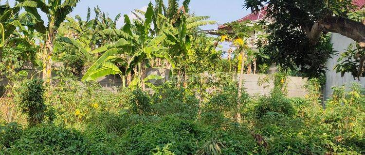 Premium Land Location East Gatot Subroto 1