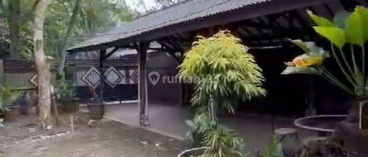 Dijual Rumah Bu Semi Furnished Butuh Renovasi SHM - Sertifikat Hak Milik di Kunir,pondok cabe, Pondok Cabe 1