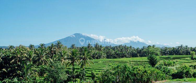 Villa View Sawah Bebas Polusi Di Kerambitan Tabanan 1