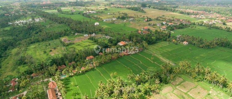  Tanah Premium View Sawah Dekat Chedi Goa Gajah Ubud Gianyar 1