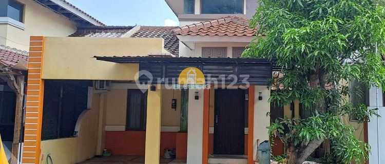 For Rent: House in Kedungmundu, East Semarang 1