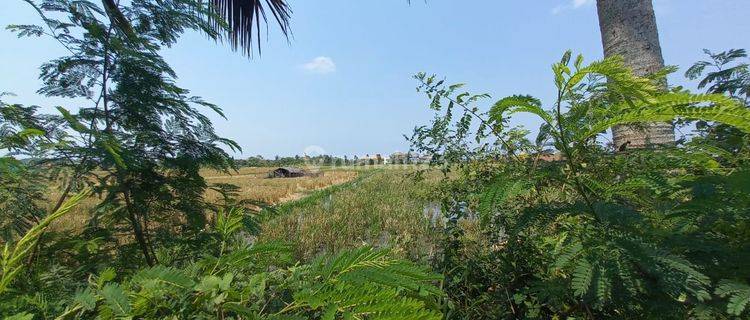 Land Lease Or Rent Walking Distance To The Beach In Kedungu 1