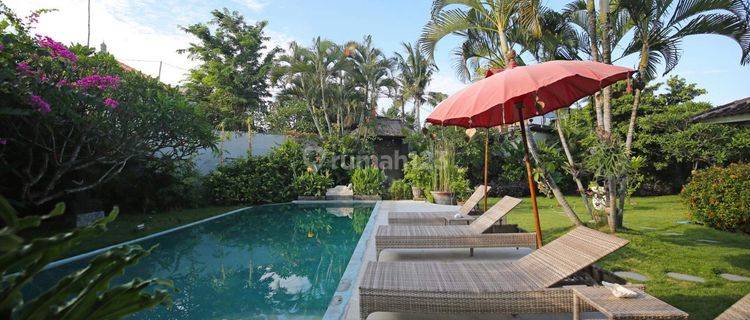 Spacious And Cozy Villa For Monthly Rent In Seminyak Area 1