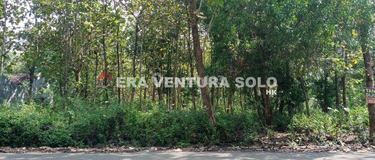 Tanah Pekarangan Strategis Giriwono Wonogiri 1