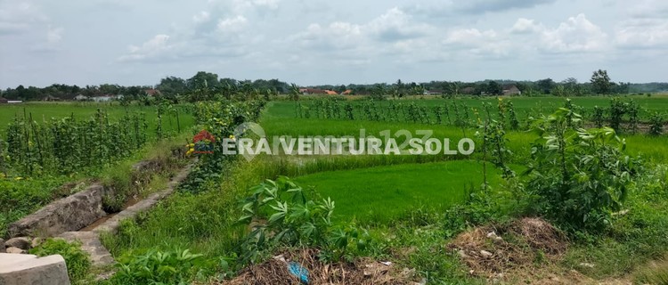 Tanah Zona Hijau Strategis Bangak Boyolali 1