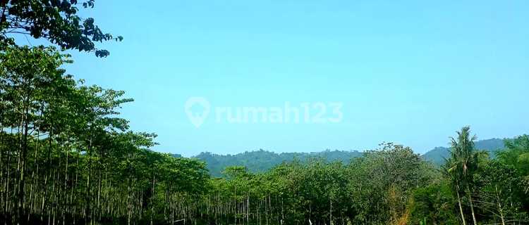 Dijual Tanah Kec Tanjungsari, Desa Sirnasari, Cariu Bogor 1