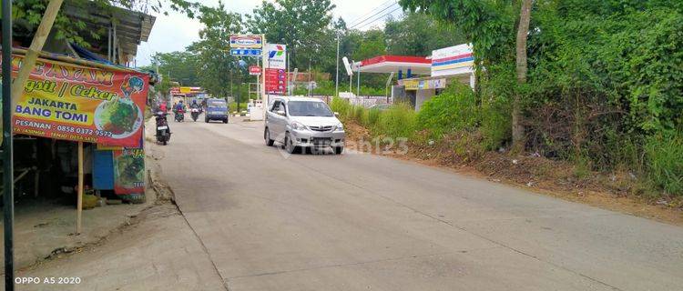 3000m².SHM Tanah Di Jual Di Kec.Jasinga-Bogor Barat 1