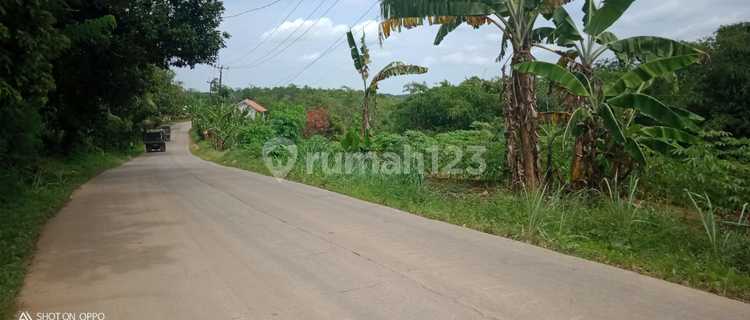 4.474m².SHM Di Jual Tanah Di Kec.Jasinga-Bogor Barat 1