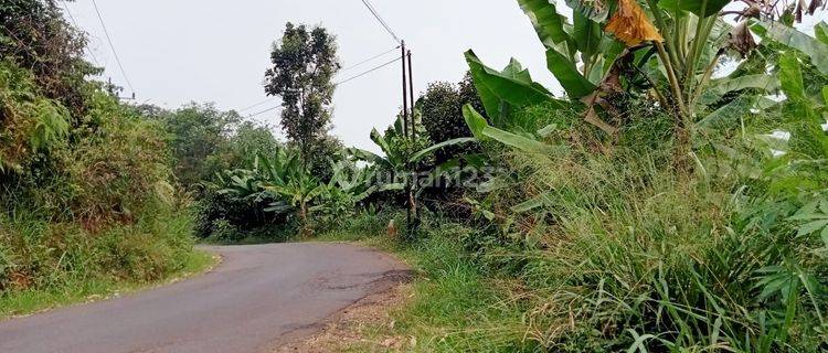 2000m² Tanah View Pegunungan Buat Kebun Dan Vila Cigudeg-Bogor 1