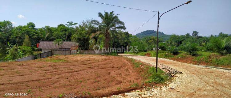 1650m².shm Di Jual Tanah Di Kecamatan Jasinga-Bogor Barat 1