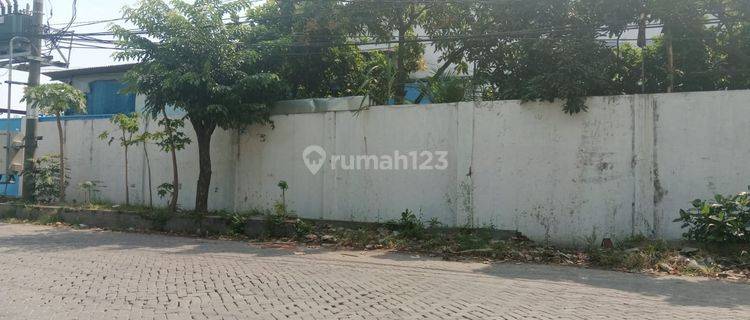 GUDANG MARGOMULYO PERMAI SURABAYA HOT LISTING 1
