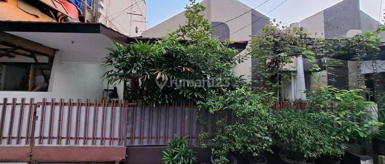 Rumah tinggal sewa murah greenville jakarta barat 1