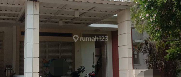 Rumah Bagus SHM Summarecon Bekasi Cluster Acacia, Bekasi 1