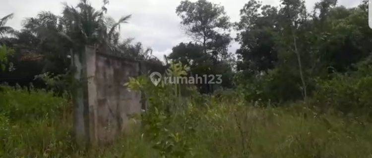 Tanah dijual di ketapang, pangkalpinang 1