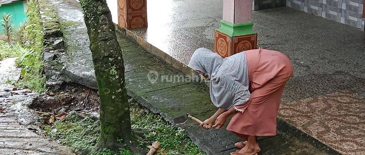 Di sewakan 1 rumah kamar tdr 3 kamar mandi 1 8jt per tahun 1