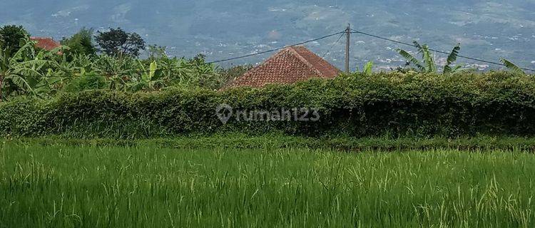 Tanah bagus sawa&darat lokasi cimande caringin harga 600rb/m shm 1