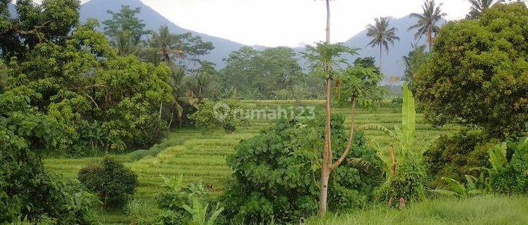 Solid Land for Sale in Tourist Area Suitable for Villa Retreat Glamping Resort, Mountain View in Tabanan Bali 1