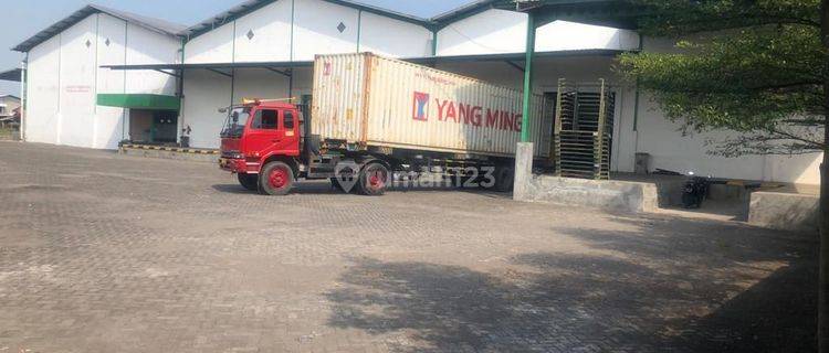 Gudang Pabrik 25878 Rungkut Tambak Sawah Surabaya Murah 1