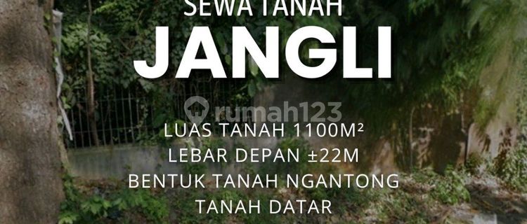 Wild Flat Land with a View! Suitable for a Cafe, Front Width 22m. 1