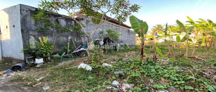 Dijual Tanah Dengan Luasan Kecil Di Pering Gianyar  1