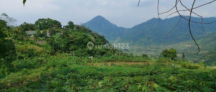 Dijual Kavling tanah 65% dari njop Curug Bojong koneng sentul 1