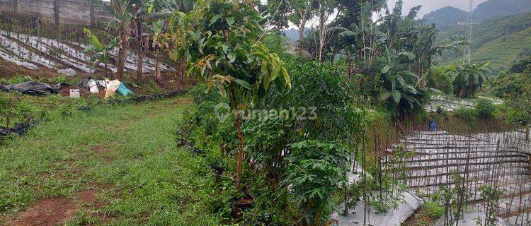 DiJual Tanah View Cantik Sentul City Gunung Geulis 1