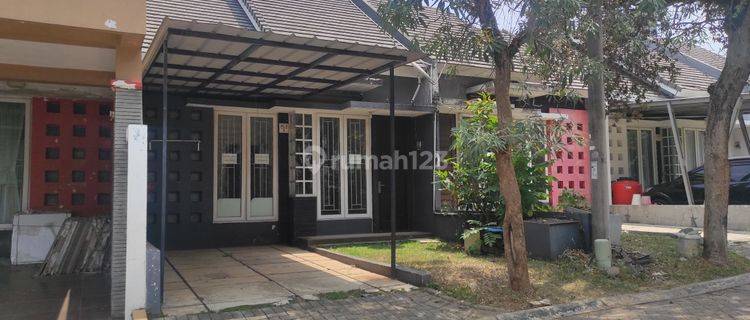 Disewakan Rumah Rapih Di Cibubur Country 1