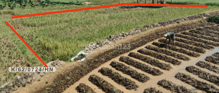 Tanah Sawah Produktif Dekat Kali Irigasi Di Hegarmanah Jatinangor 1