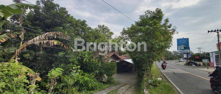 TANAH LUAS BONUS RUMAH HADAP JALAN RAYA WONOSARI YOGYAKARTA 1