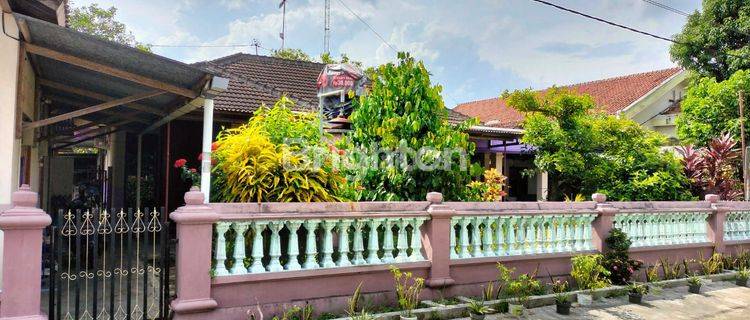 Rumah Tanah Luas Di Pinggir Jalan Aspal Gombong Jawa Tengah 1
