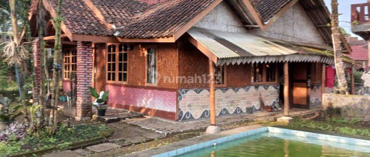 Villa Cocok Untuk Di Komersilkan Dari Jalan Raya Utama Hanya 3 Km 1