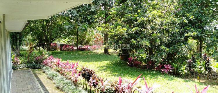 Tanah Villa Dan Kebun Buah 2,7 ha Di Parakan Salak Sukabumi jabar 1