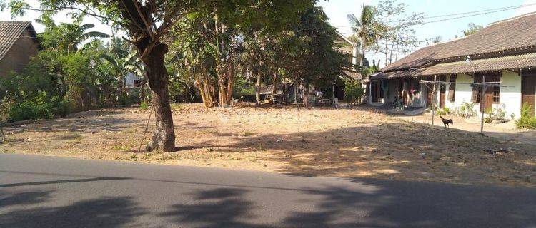 DIJUAL TANAH PEKARANGAN DI SELATAN UPY 612 m² 1