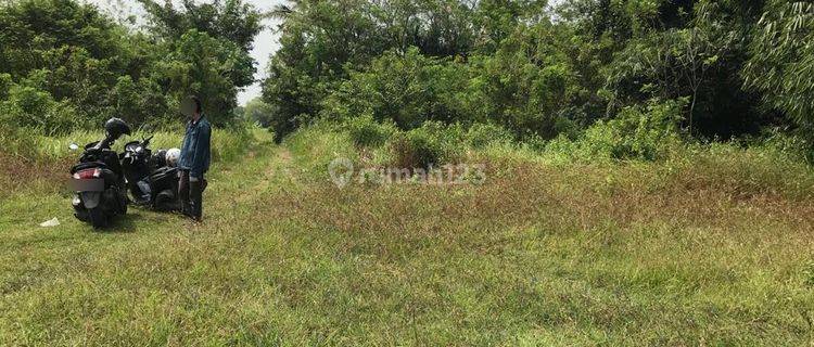 Tanah Curug Serang Dekat KP3B 1